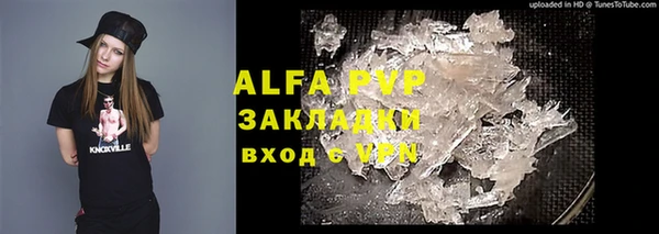 индика Алексин