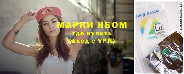 индика Алексин