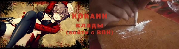 индика Алексин