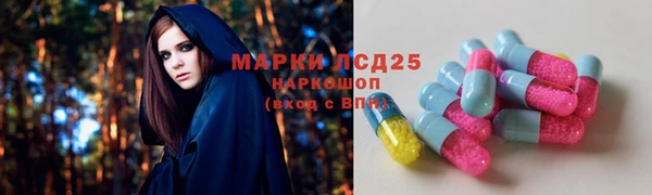 индика Алексин