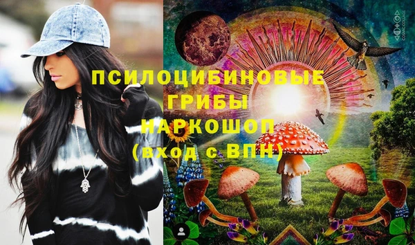 индика Алексин