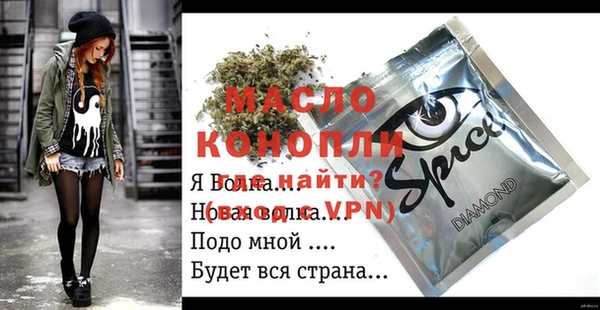индика Алексин