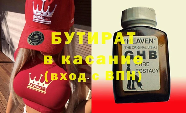 индика Алексин