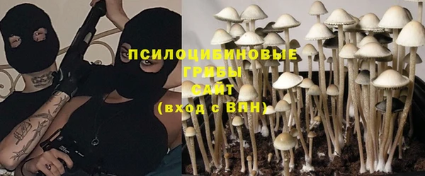 индика Алексин