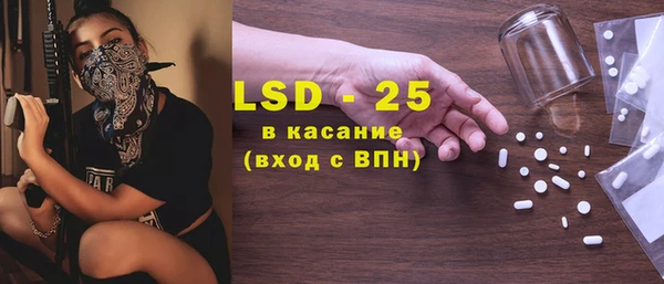 индика Алексин