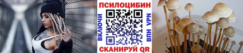 Псилоцибиновые грибы Psilocybine cubensis  где найти   Рубцовск 