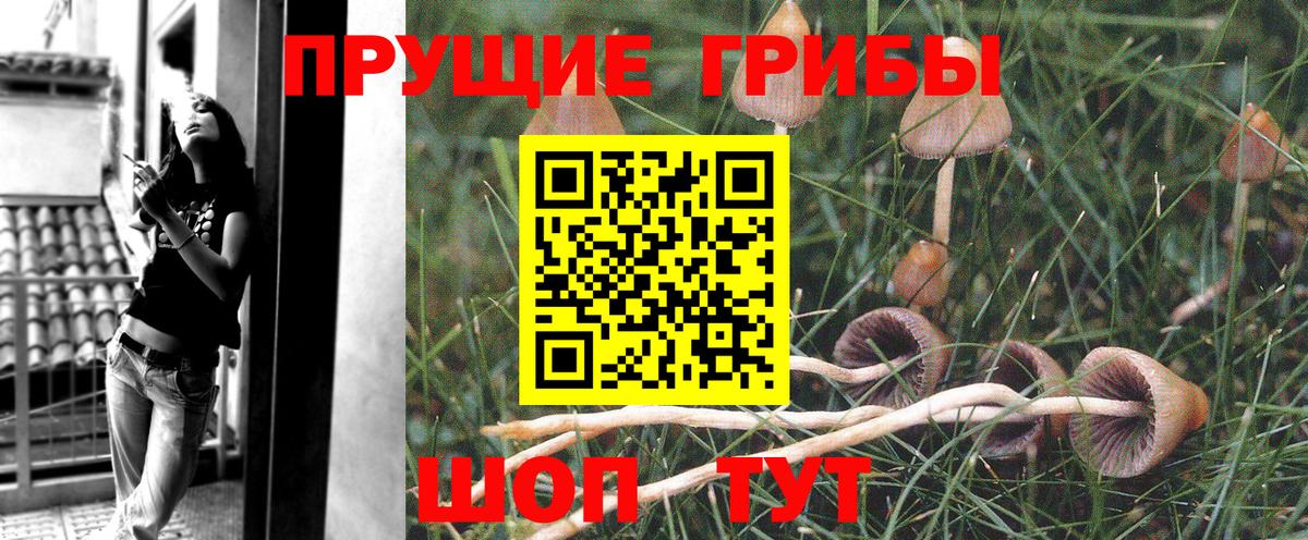 Псилоцибиновые грибы MAGIC MUSHROOMS Рубцовск