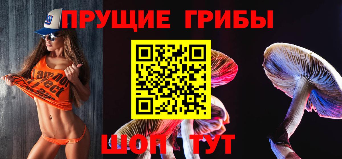 Псилоцибиновые грибы MAGIC MUSHROOMS  Вход с VPN  Рубцовск 